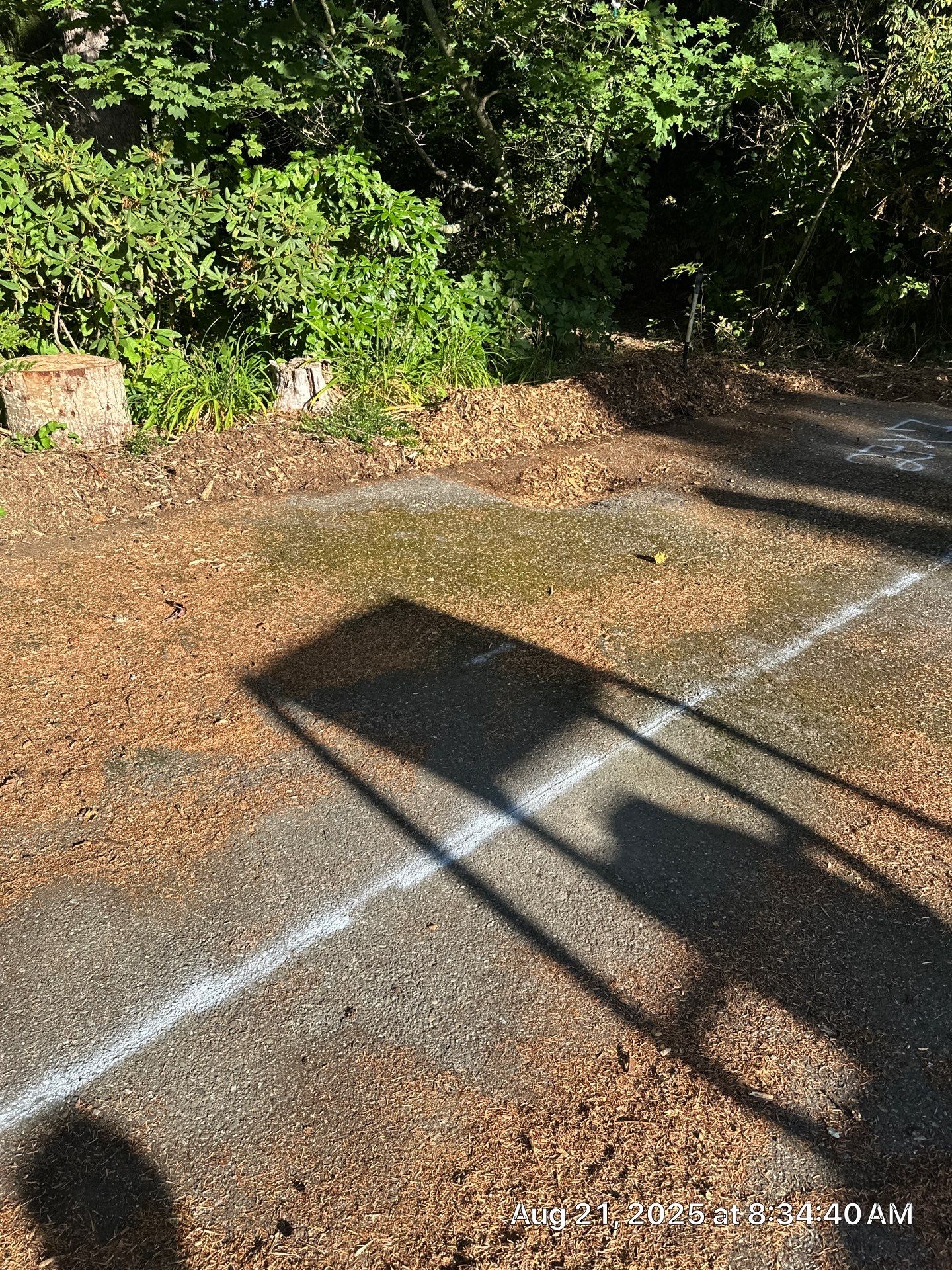 Asphalt Patch Repair & Sealcoat | Monroe  by Jireh Asphalt & Concrete Inc 