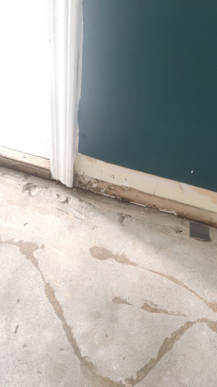 Mold Remediation by Accountable Home Services