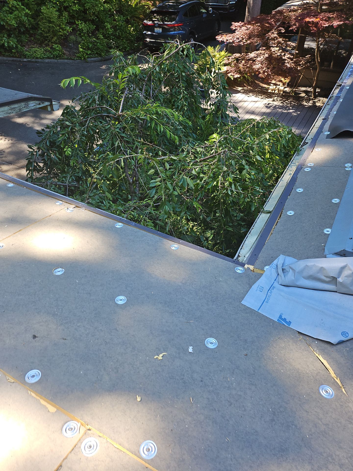 Project in Seattle by Peaks and Valleys Construction