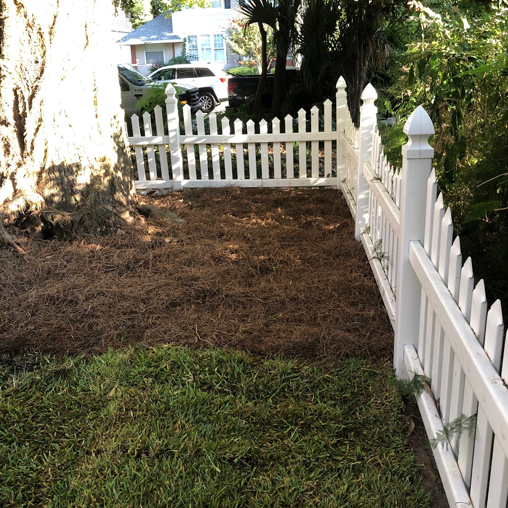 Extreme Clean Up - Landscape Install | Residential by ProGreen Services