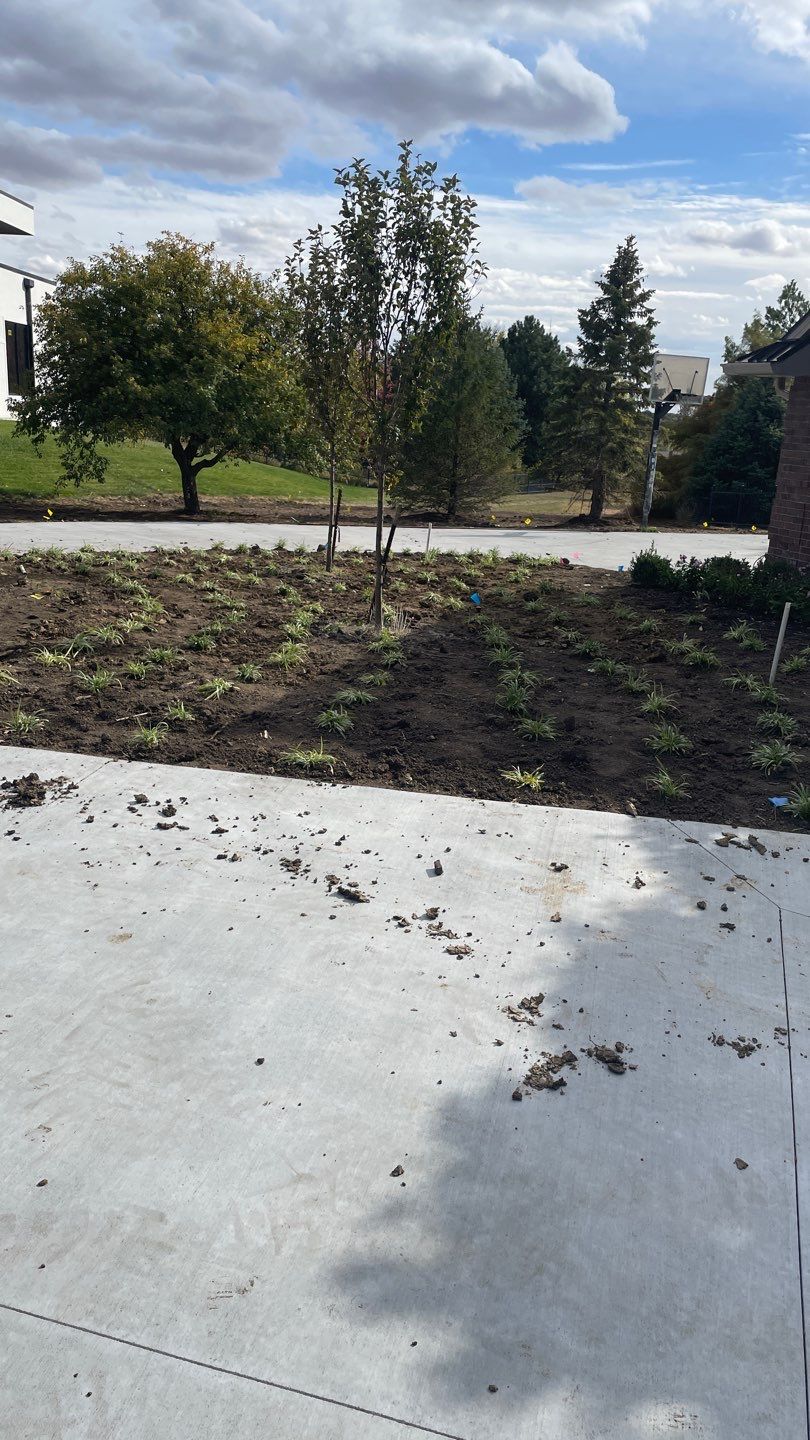 Landscape Bed Updates.  by New Horizon Landscapes