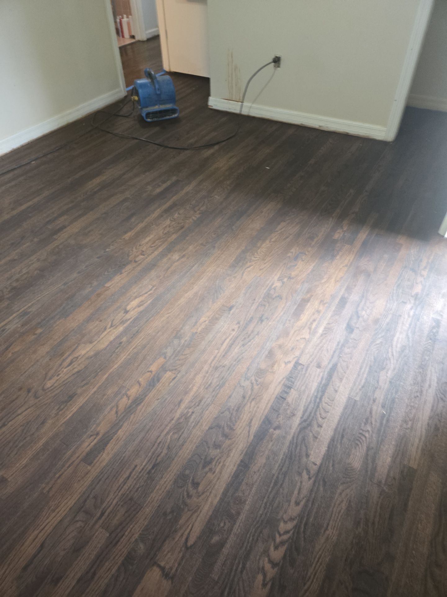 Under Carpet Reveal  by Footprints Floors of Nashville