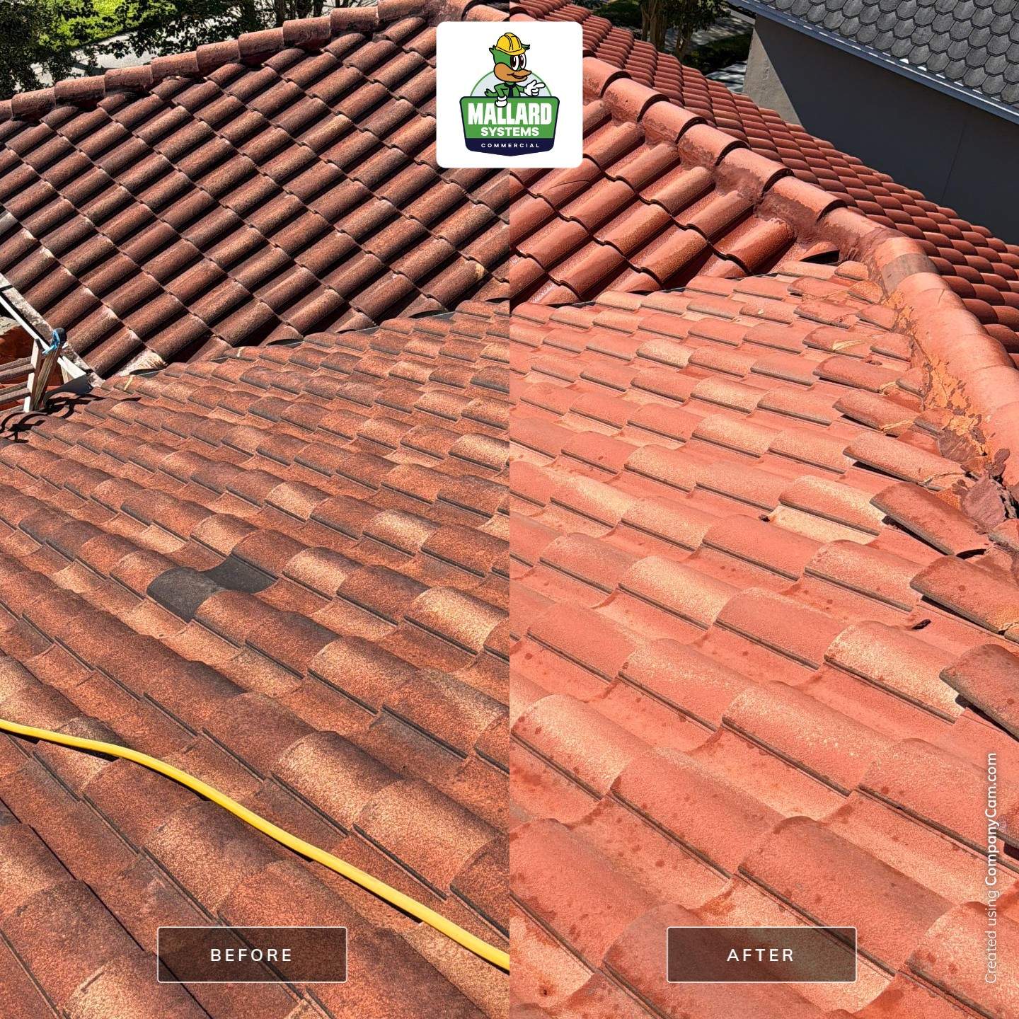 Tile Roof Cleaning in Celebration by Mallard Systems