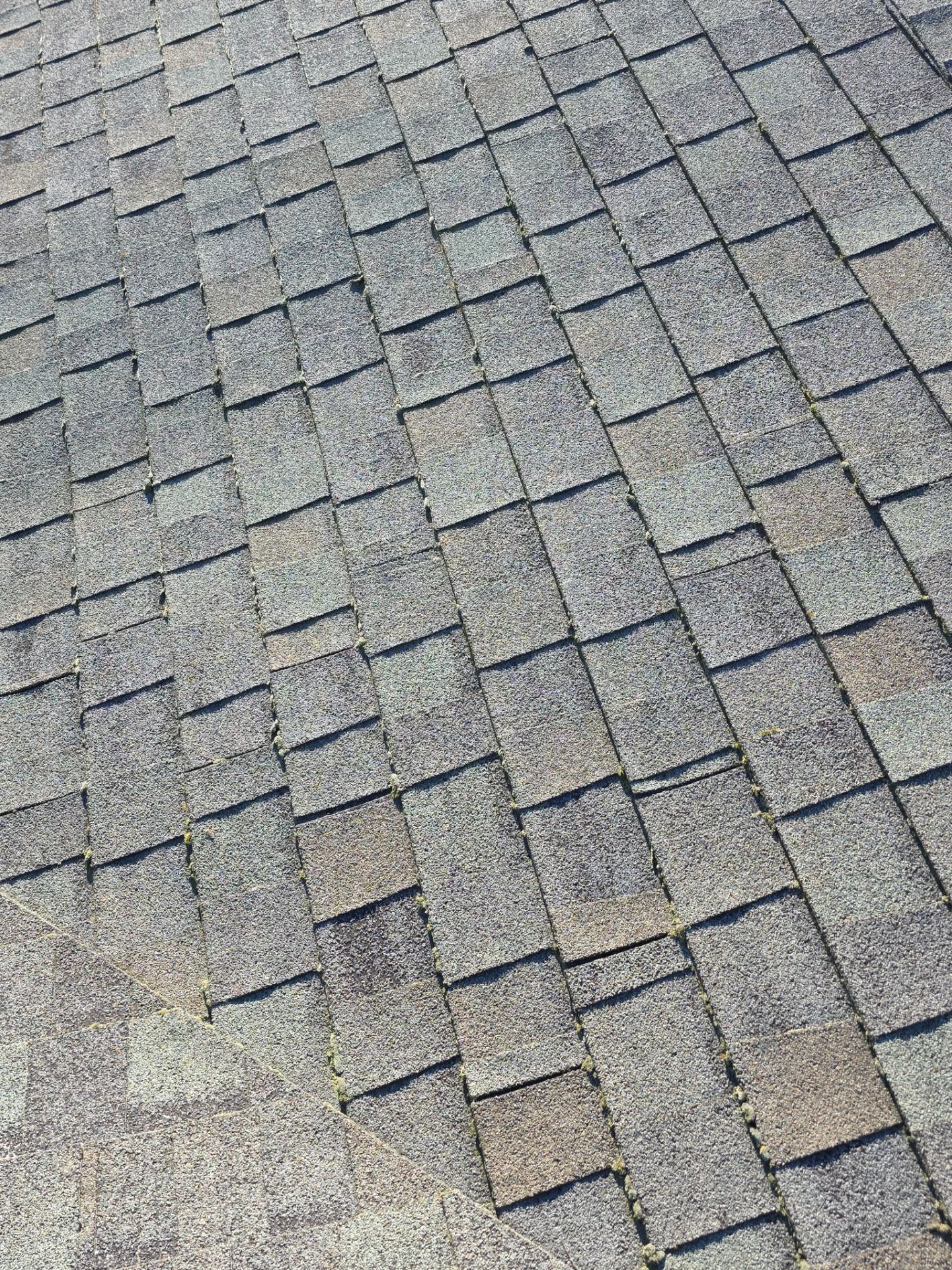 Roof Rejuvenation using Roof Maxx Treatment by Roof Maxx of Folsom