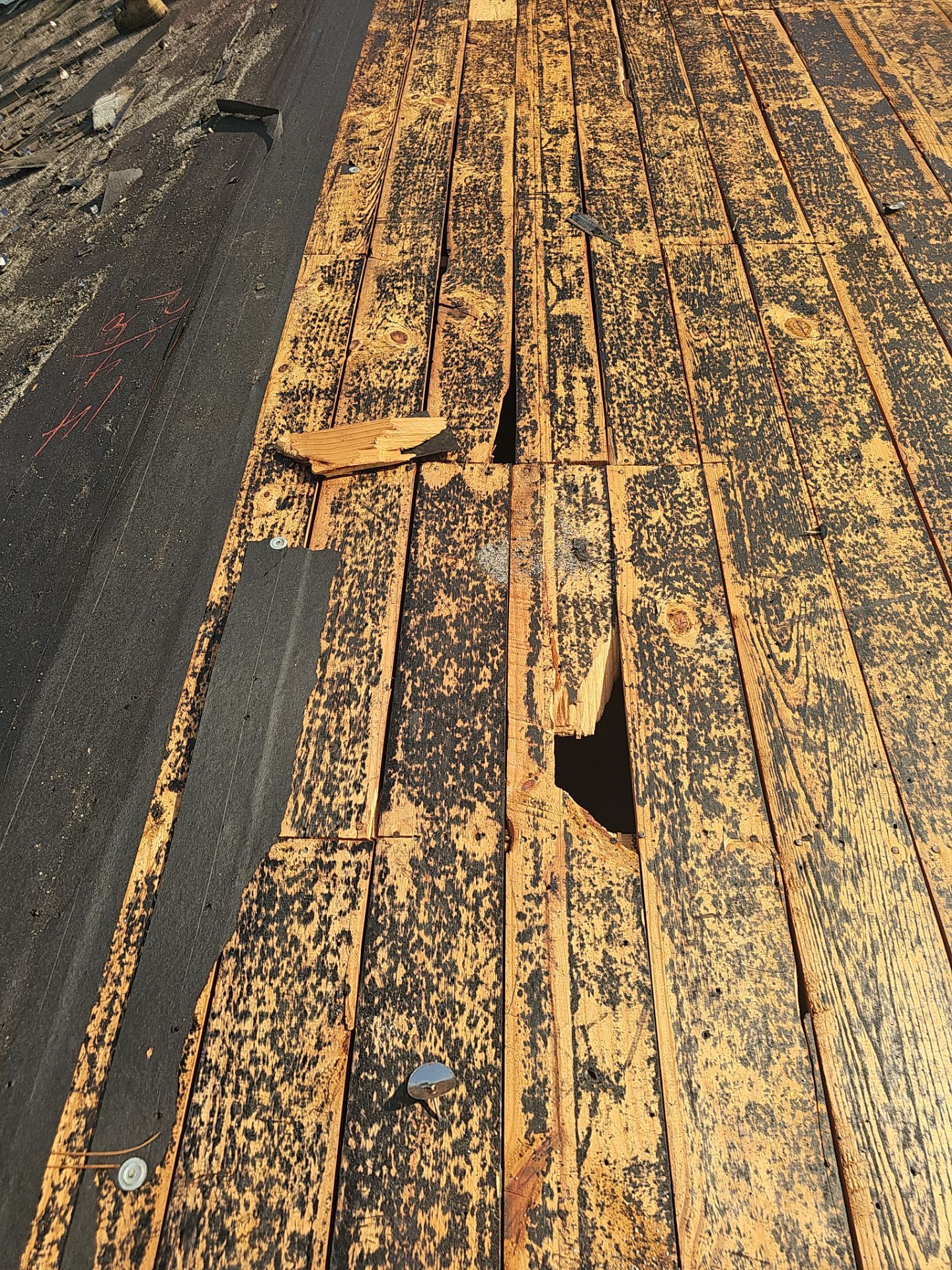 Project in St. Petersburg 33702 by Mitchell Roofing Company LLC 