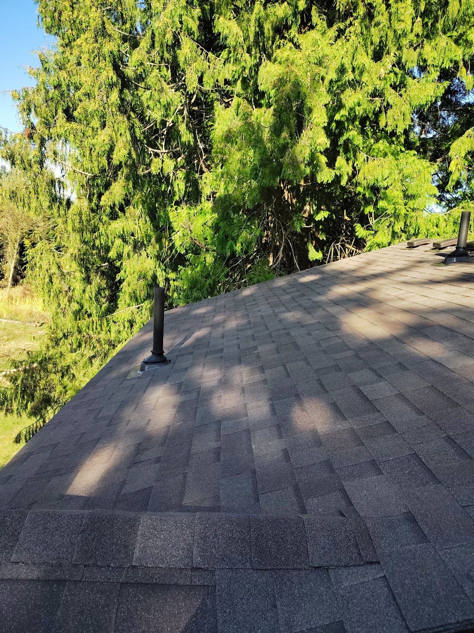 Project in Gresham by Tom Leach Roofing