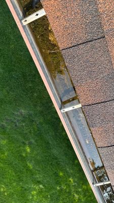Turtle Shell gutter protection installation in Schaumburg, IL 60193, photograph 14