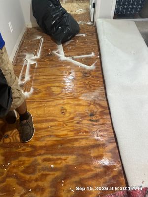 Mold Remediation — Fort Myers, FL