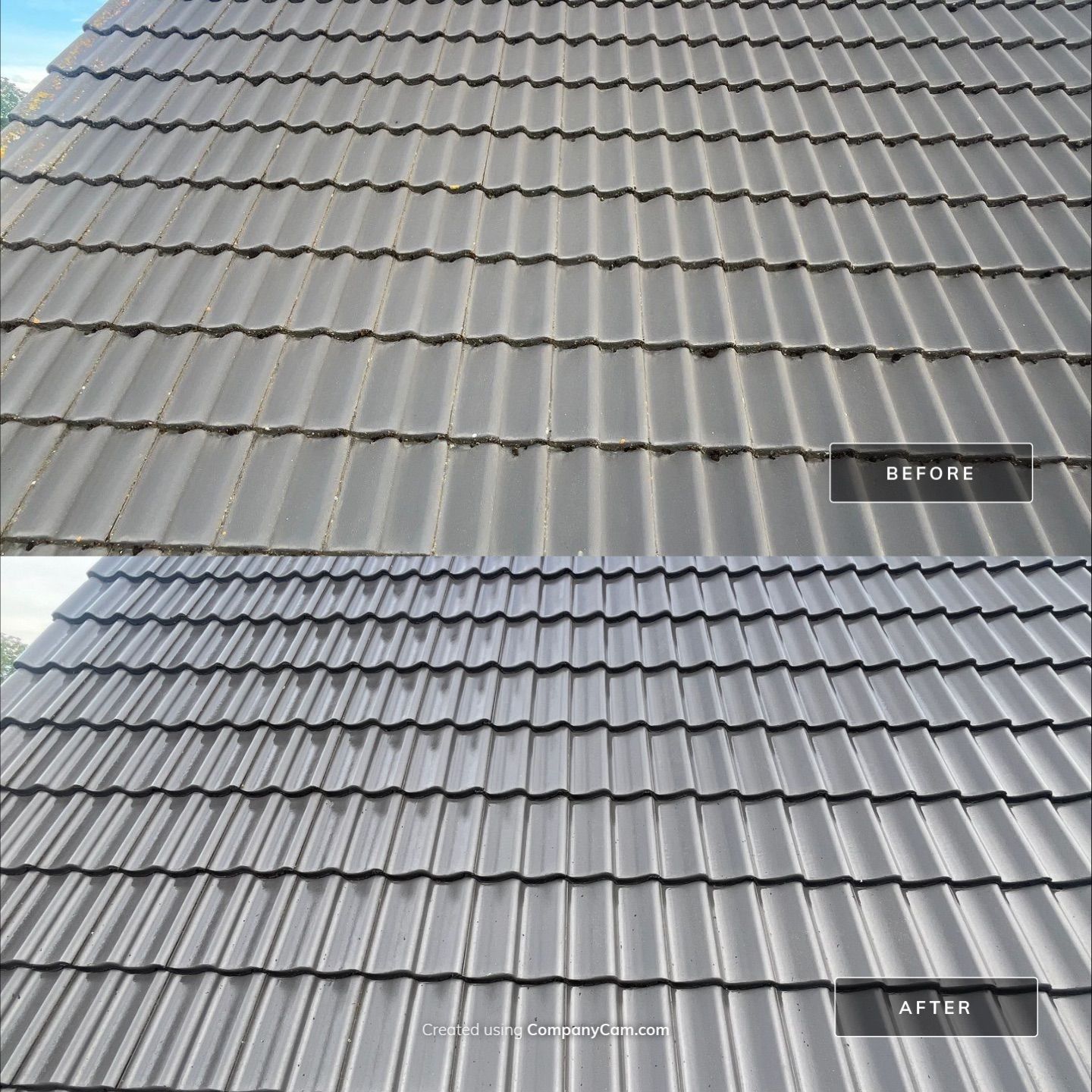 Project in Bekkevoort by 2blox Srl