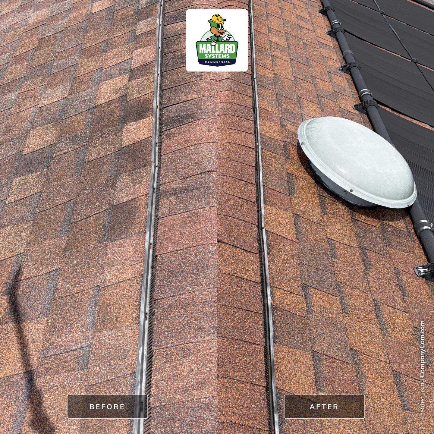 Shingle Roof Cleaning in Hunters Creek Orlando by Mallard Systems
