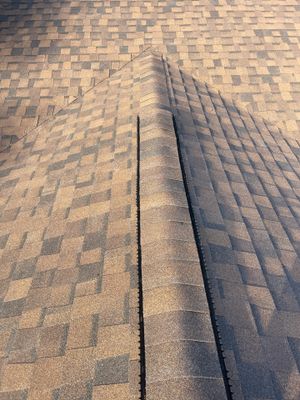 Shingle Reroof Replacement Edgewater FL