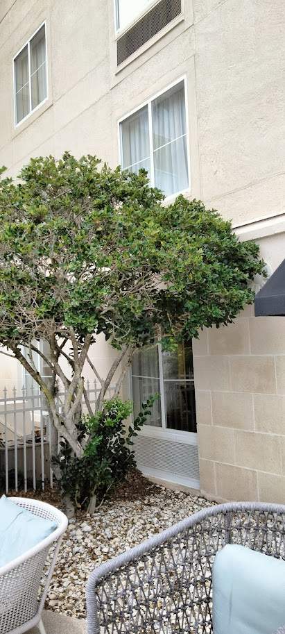 Homewood Suites | Tree Service by ProGreen Services