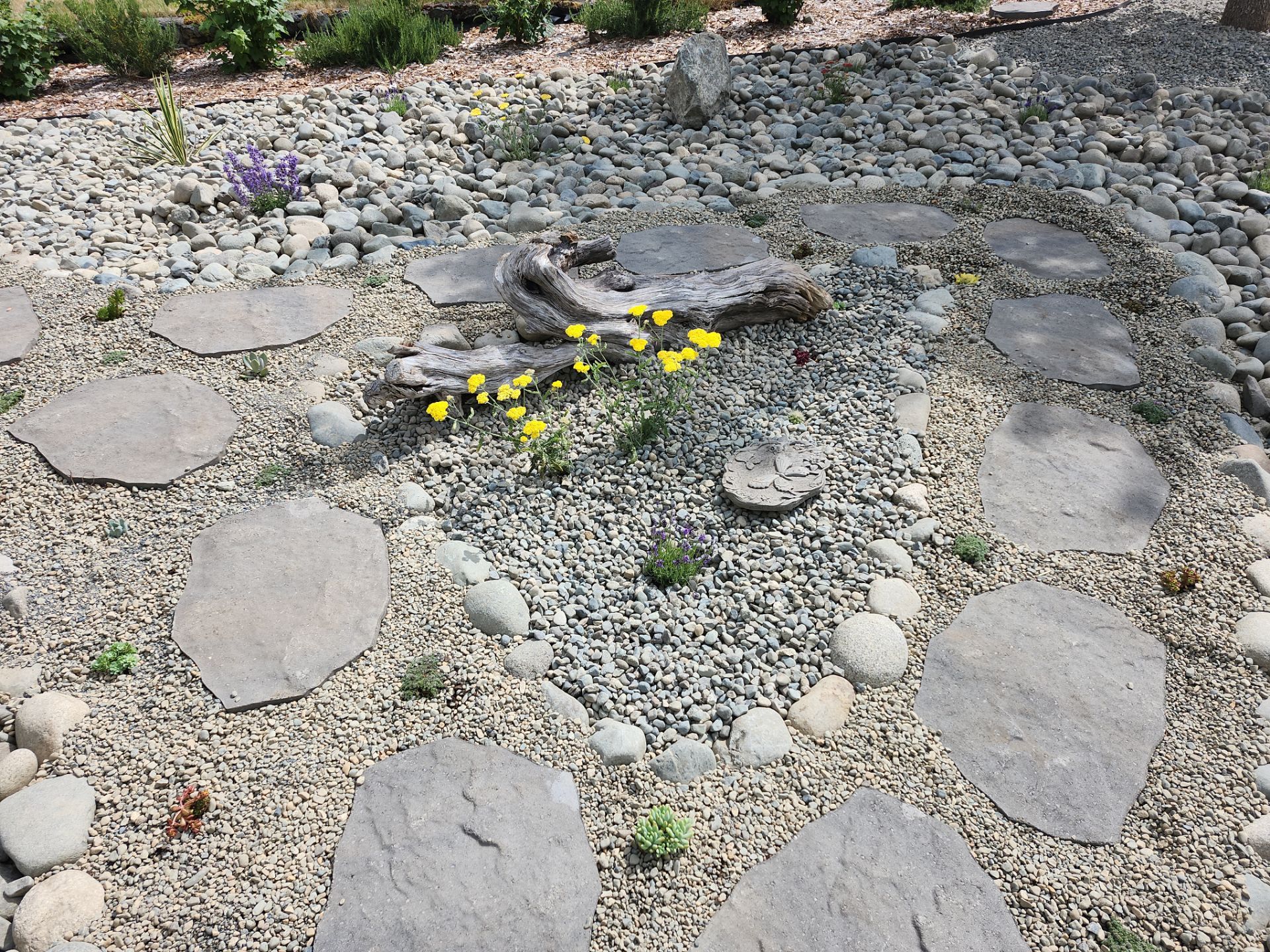 Front Yard Ecological Conversion – A West Coast-Inspired Low-Maintenance Oasis by Habanero Garden and Exterior Care