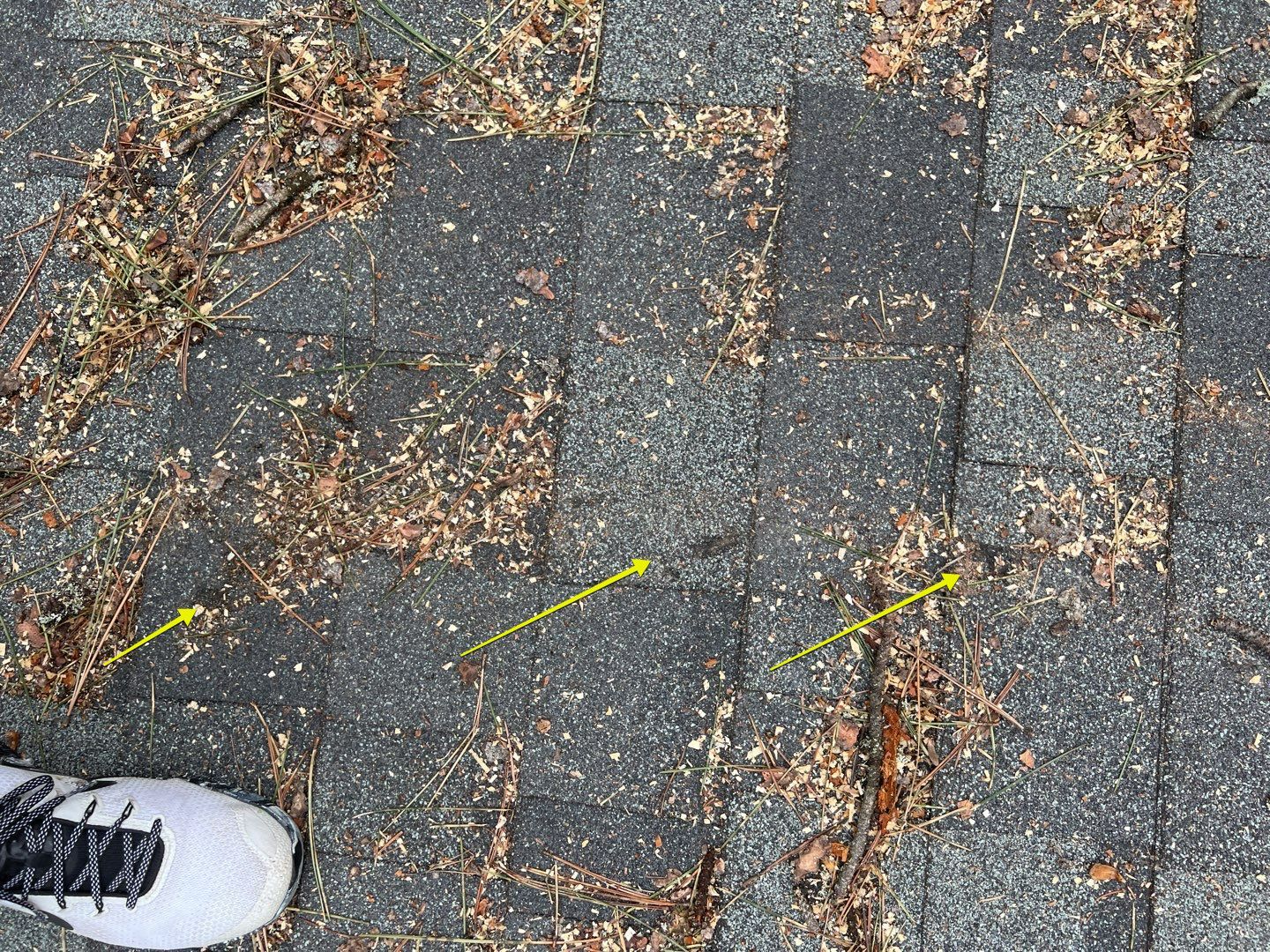 Green Snap Lock Standing Seam  by Montana Roofing Solutions