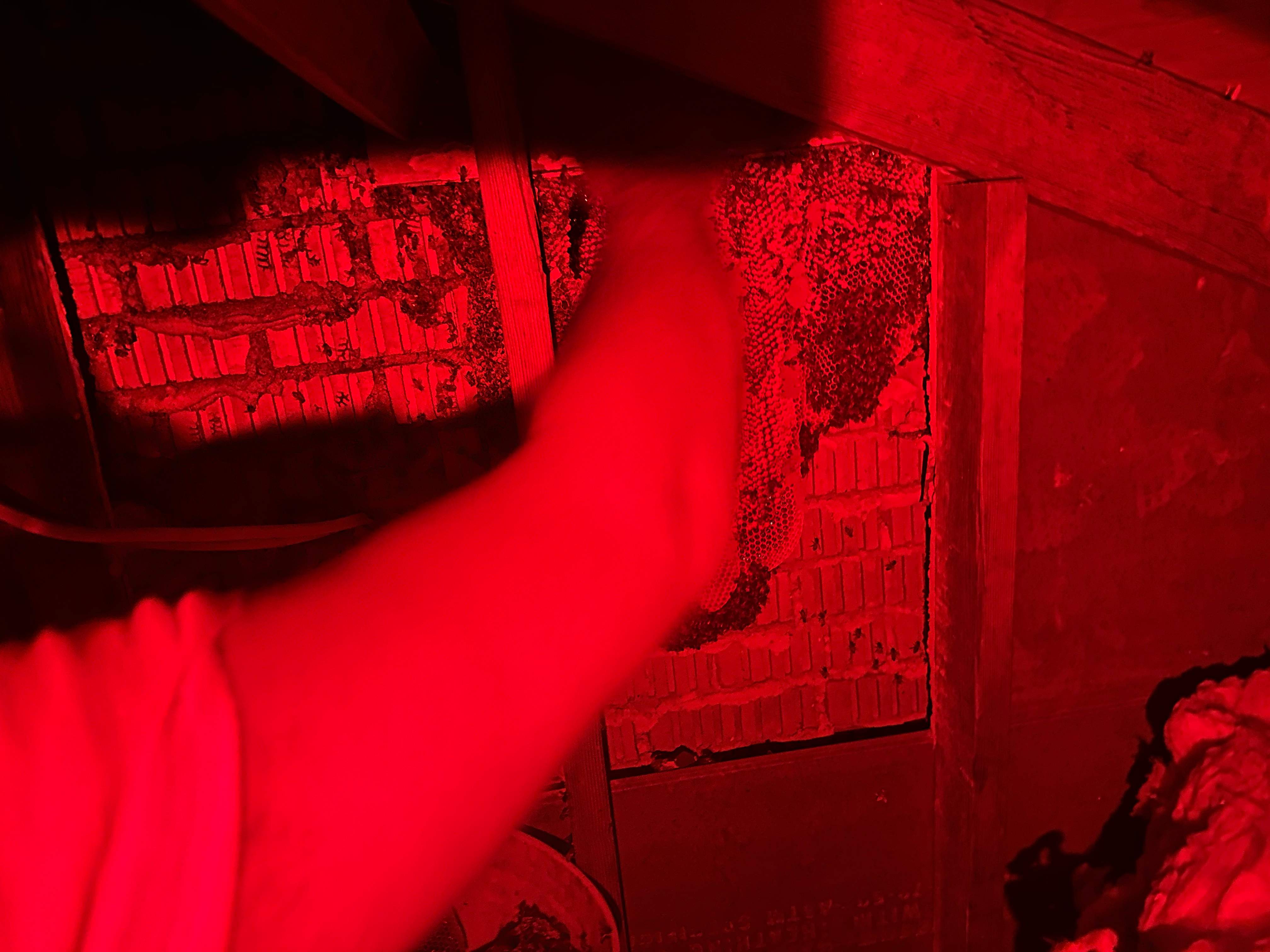 Red Light Attic by Rockwall Honey Bee Company