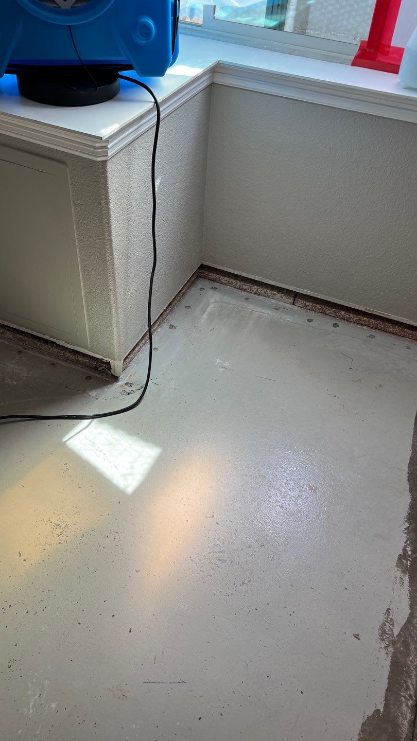 Mold Remediation  by Accountable Home Services