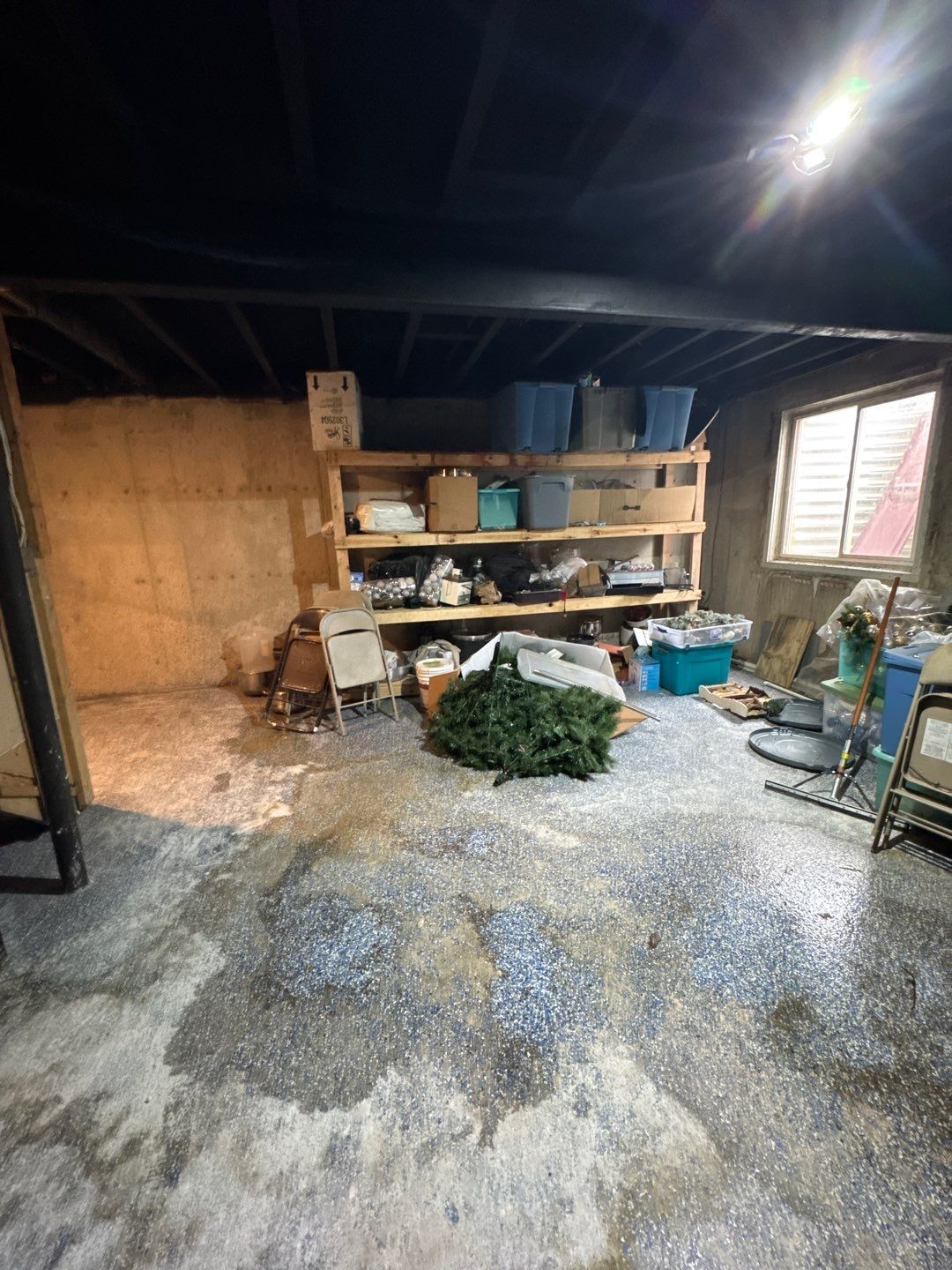 Project in Sterling Heights by EzDry Water Mitigation & Property Restoration