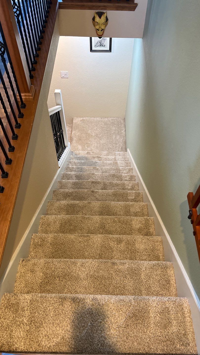 Mold Remediation by Accountable Home Services