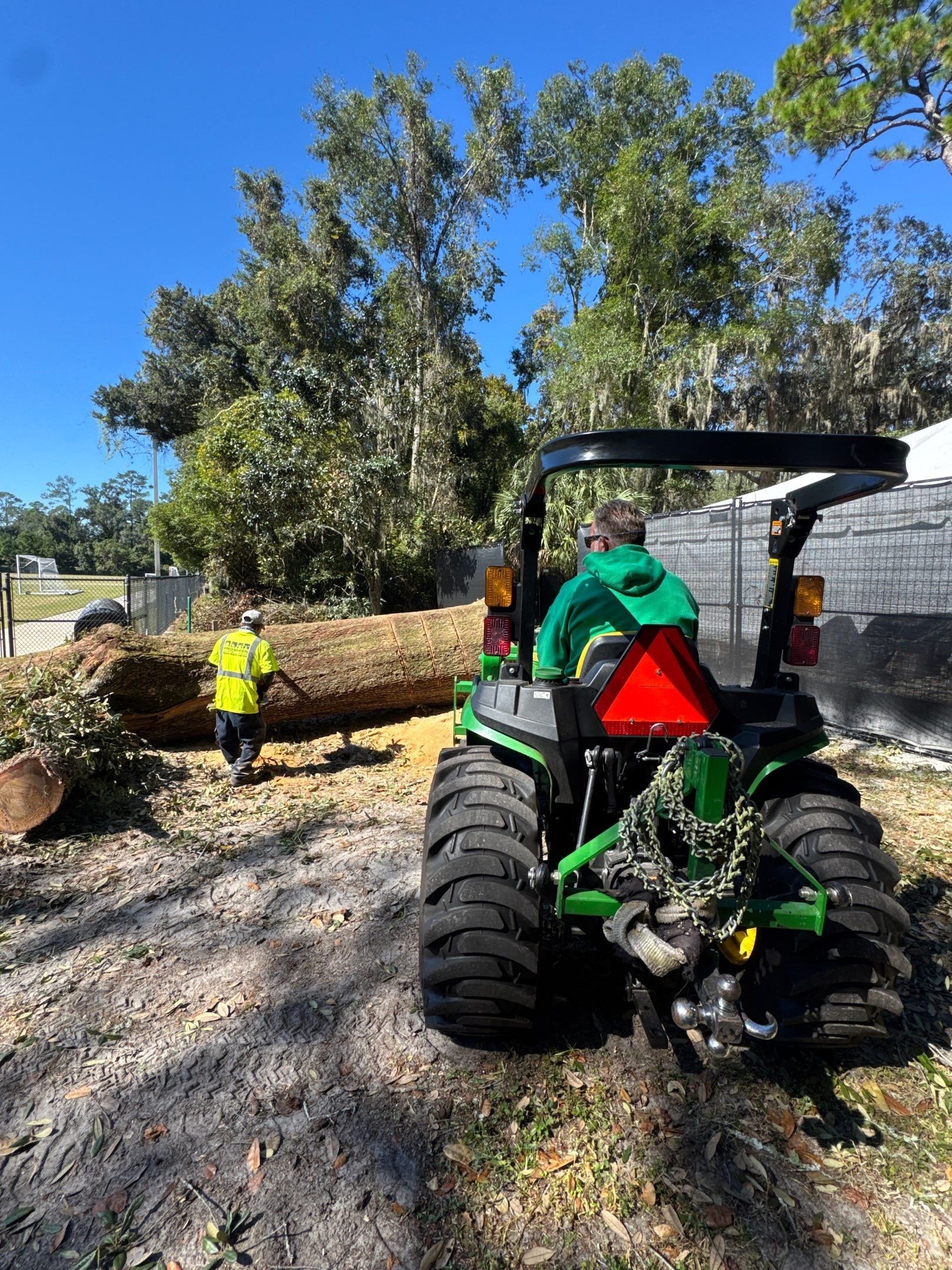 Episcopal | Large Tree Removal by ProGreen Services