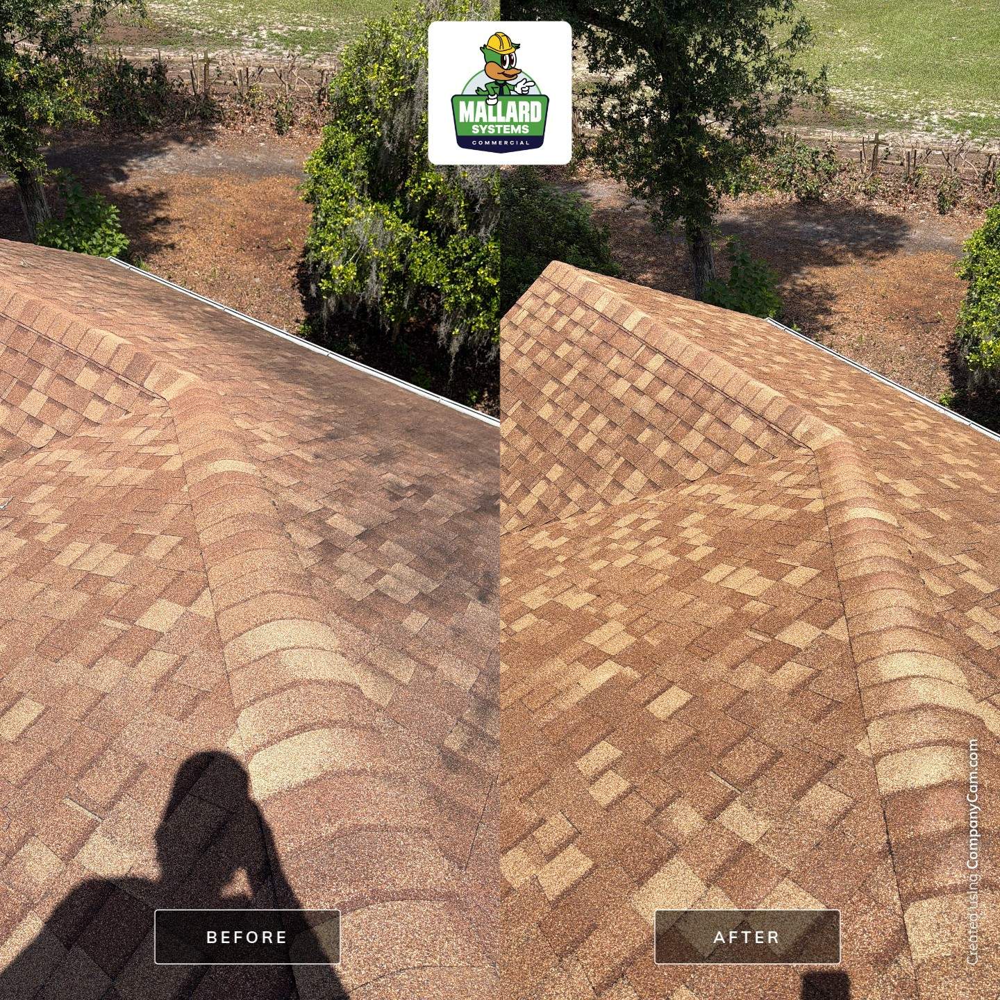 Residential Shingle Roof Cleaning for Sorrento Property by Mallard Systems