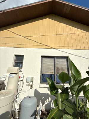 Project in Venice