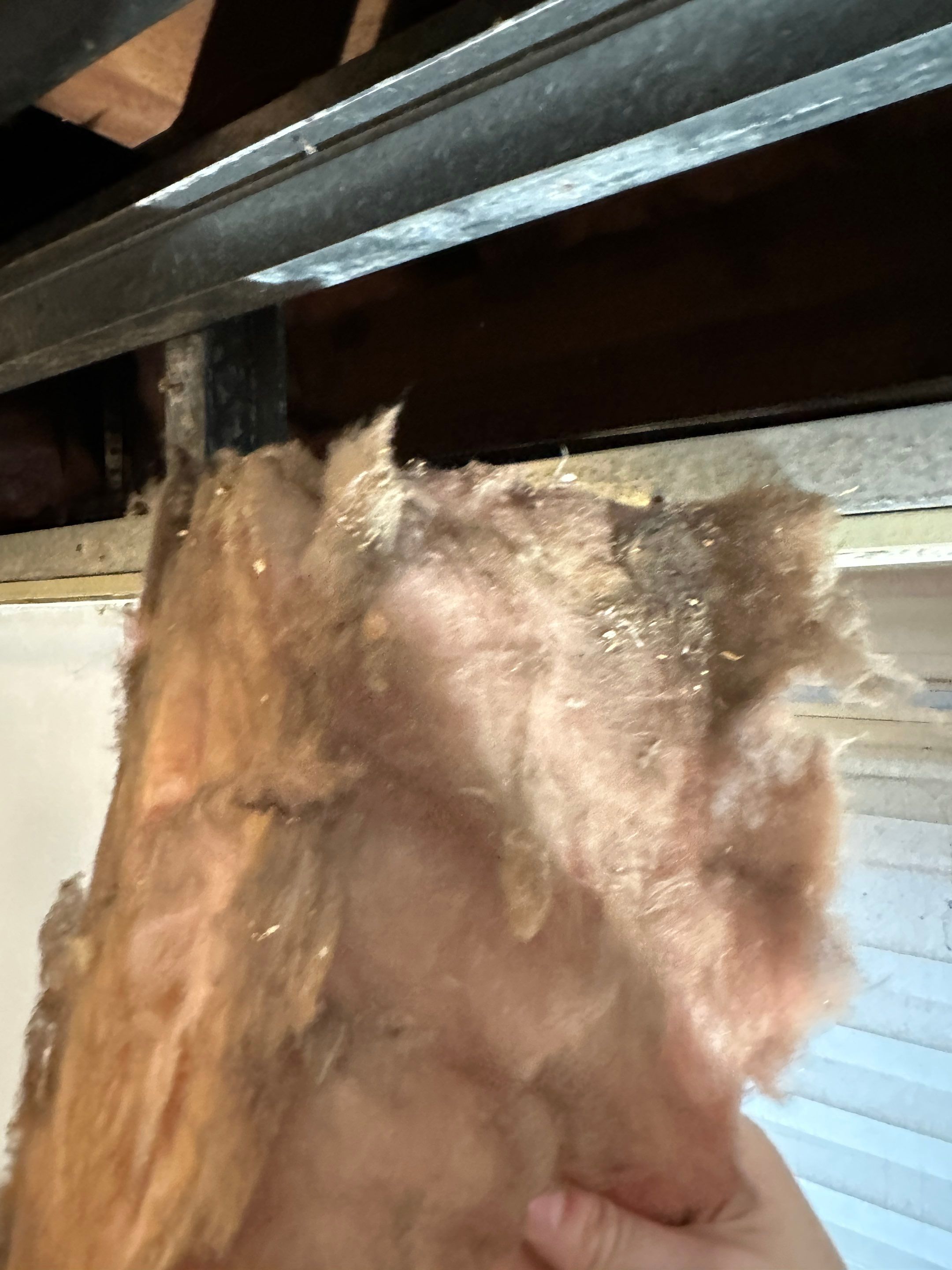 Basement Mold Remediation by Home Guarantee, LLC