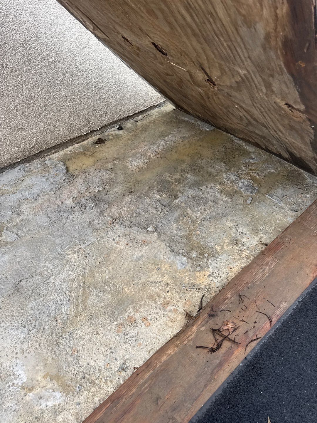 Project in Ambridge by Floors in a Day, Inc