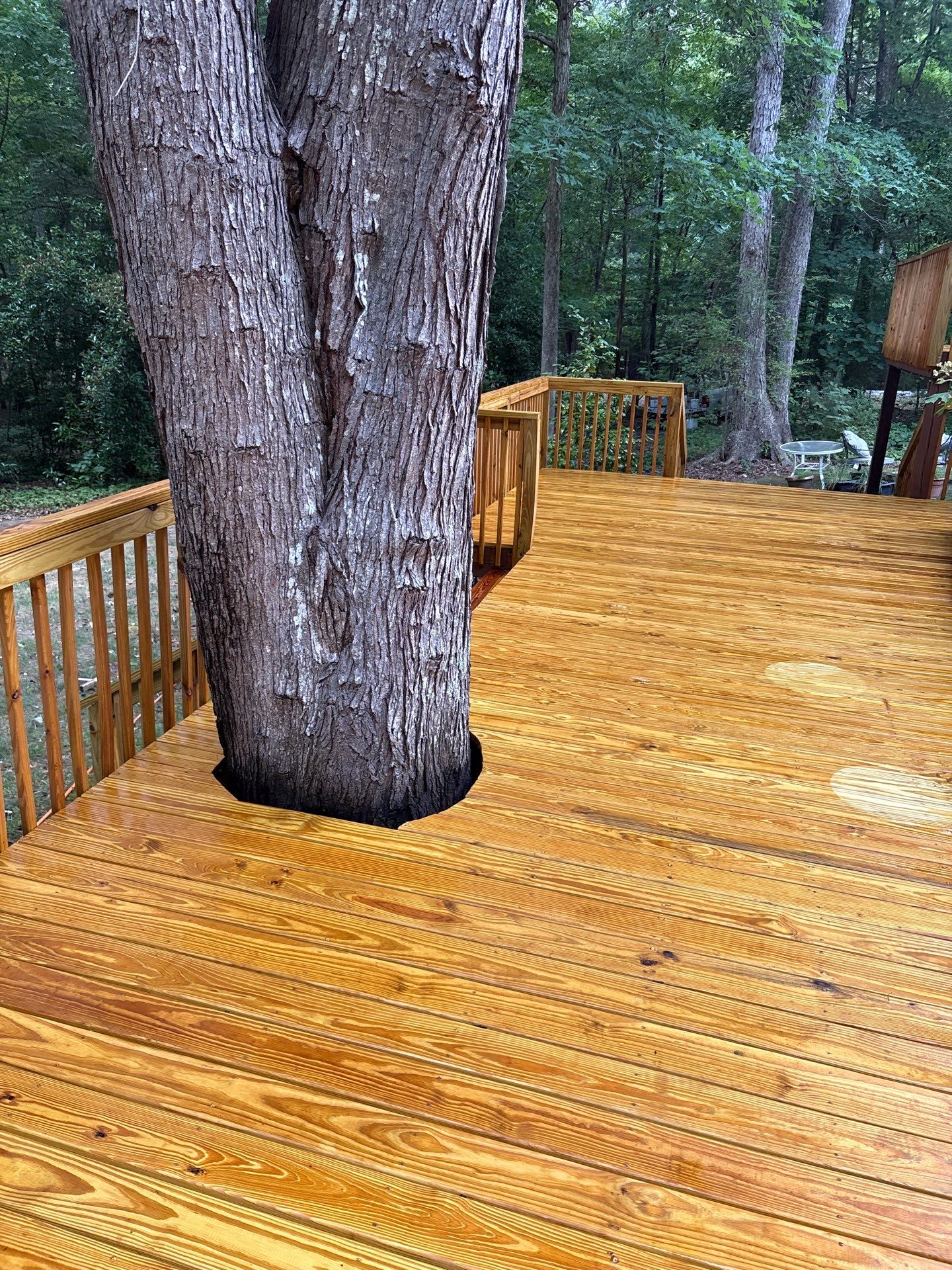 Deck using Wood Sealant by DuraSeal