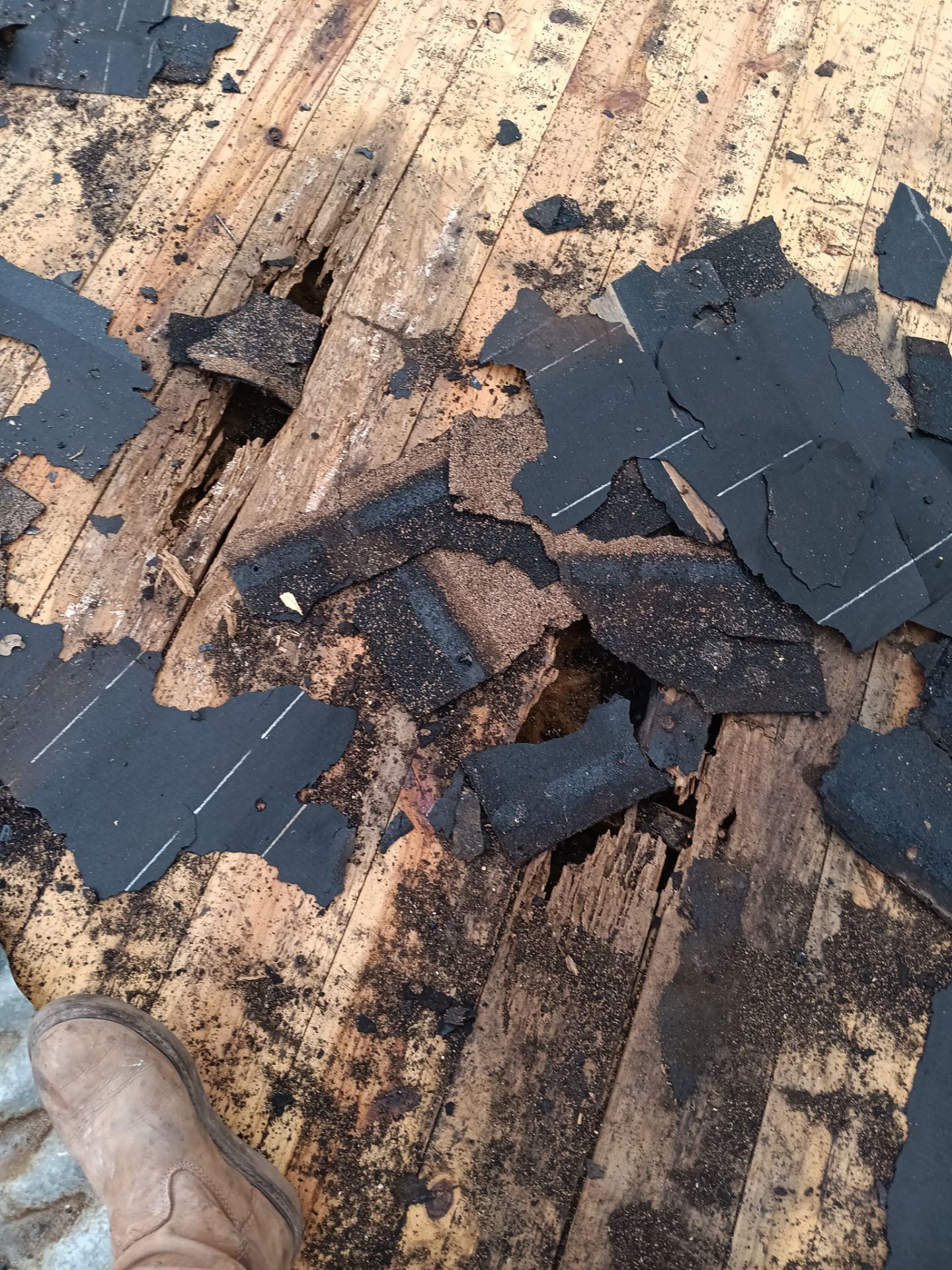 Roof Repair Palacios by Roof Repair Company