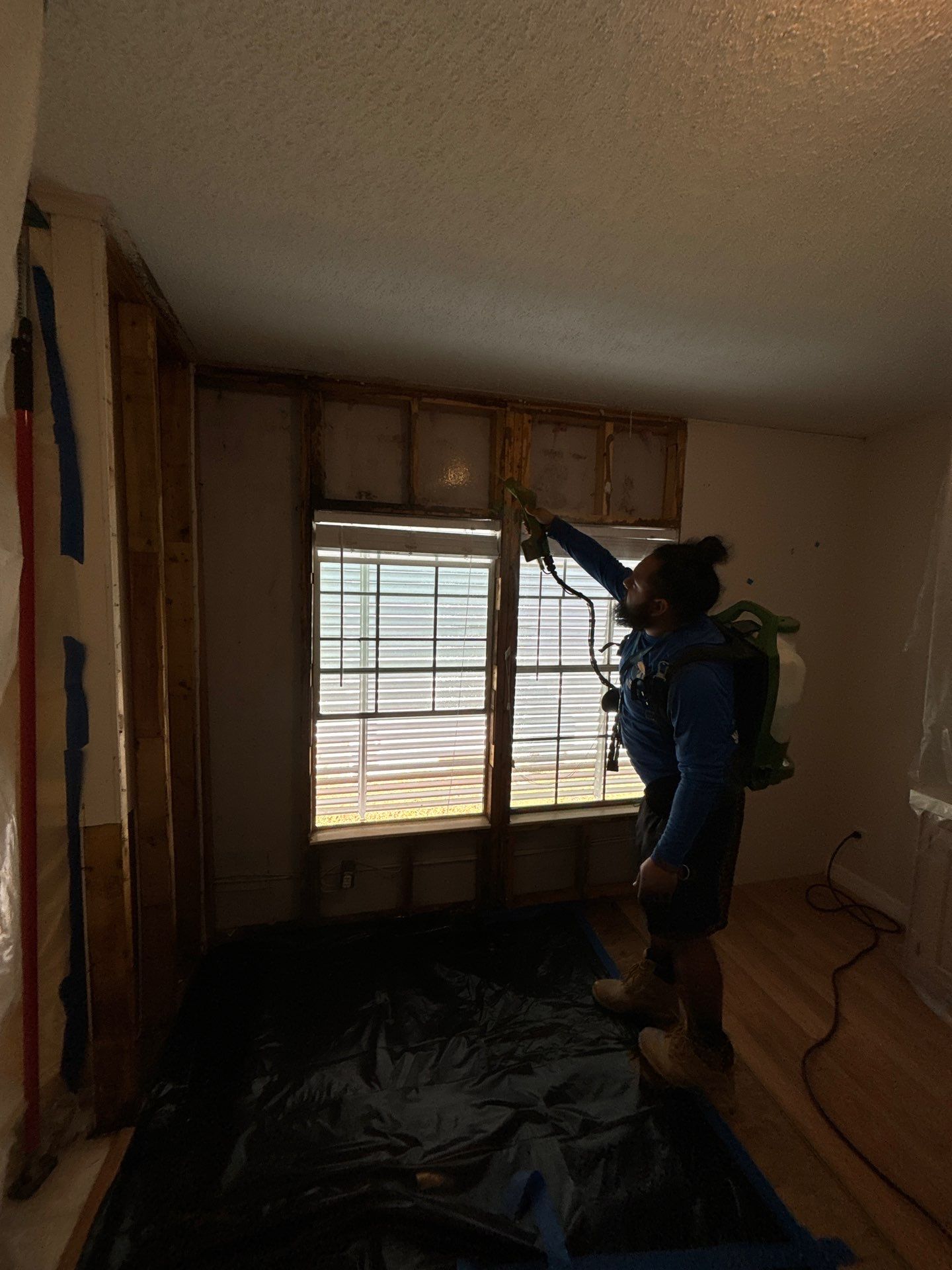 Mold Remediation Palmetto by Ampm Restoration Services 