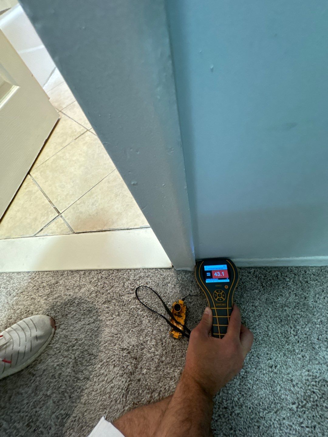 Project in Livonia by EzDry Water Mitigation & Property Restoration