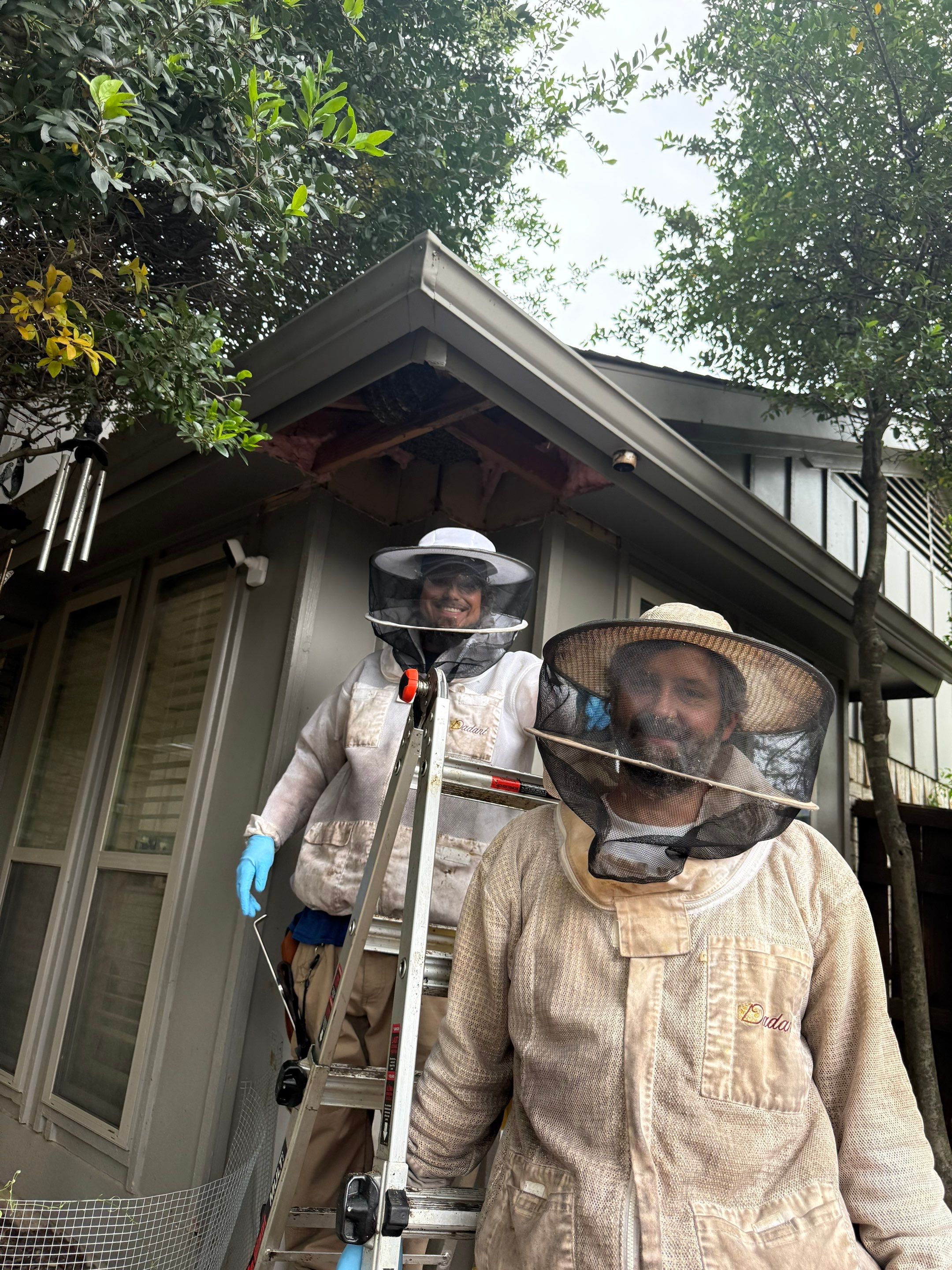 Nurse Bees by Rockwall Honey Bee Company
