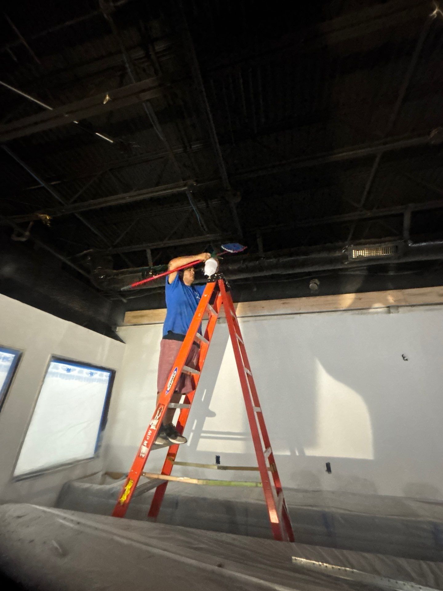 Commercial Building Mold Removal In Clearwater by Ampm Restoration Services