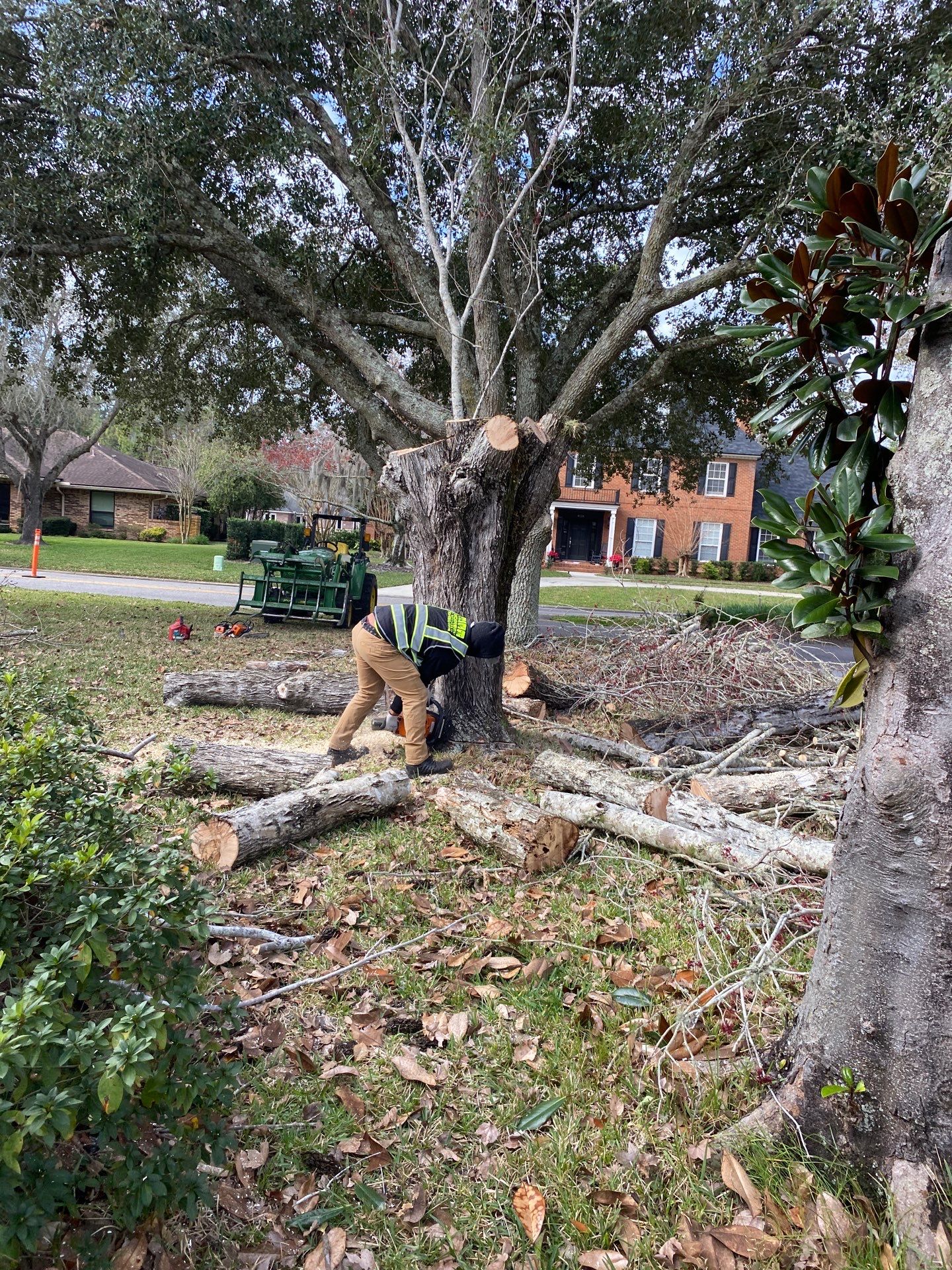 Deerwood Resident | Tree Removal & Install by ProGreen Services