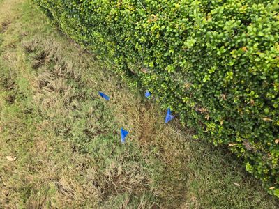 Residential Water Leak Detection Services