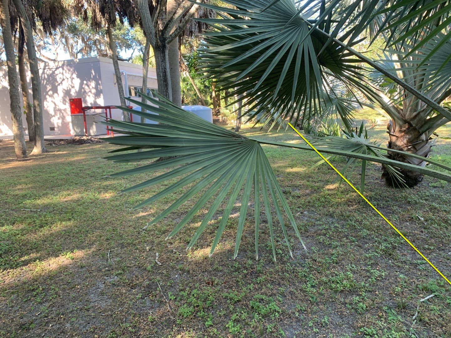 Sarasota, FL 4ft. Tall 3-Rail Aluminum Fence by Asap fence and gates, LLC