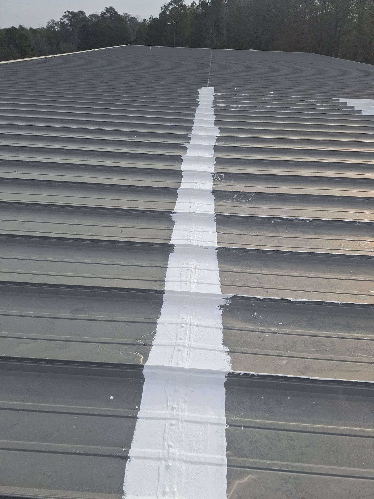 Tractor Supply Roof Repair by iGreen Solutions