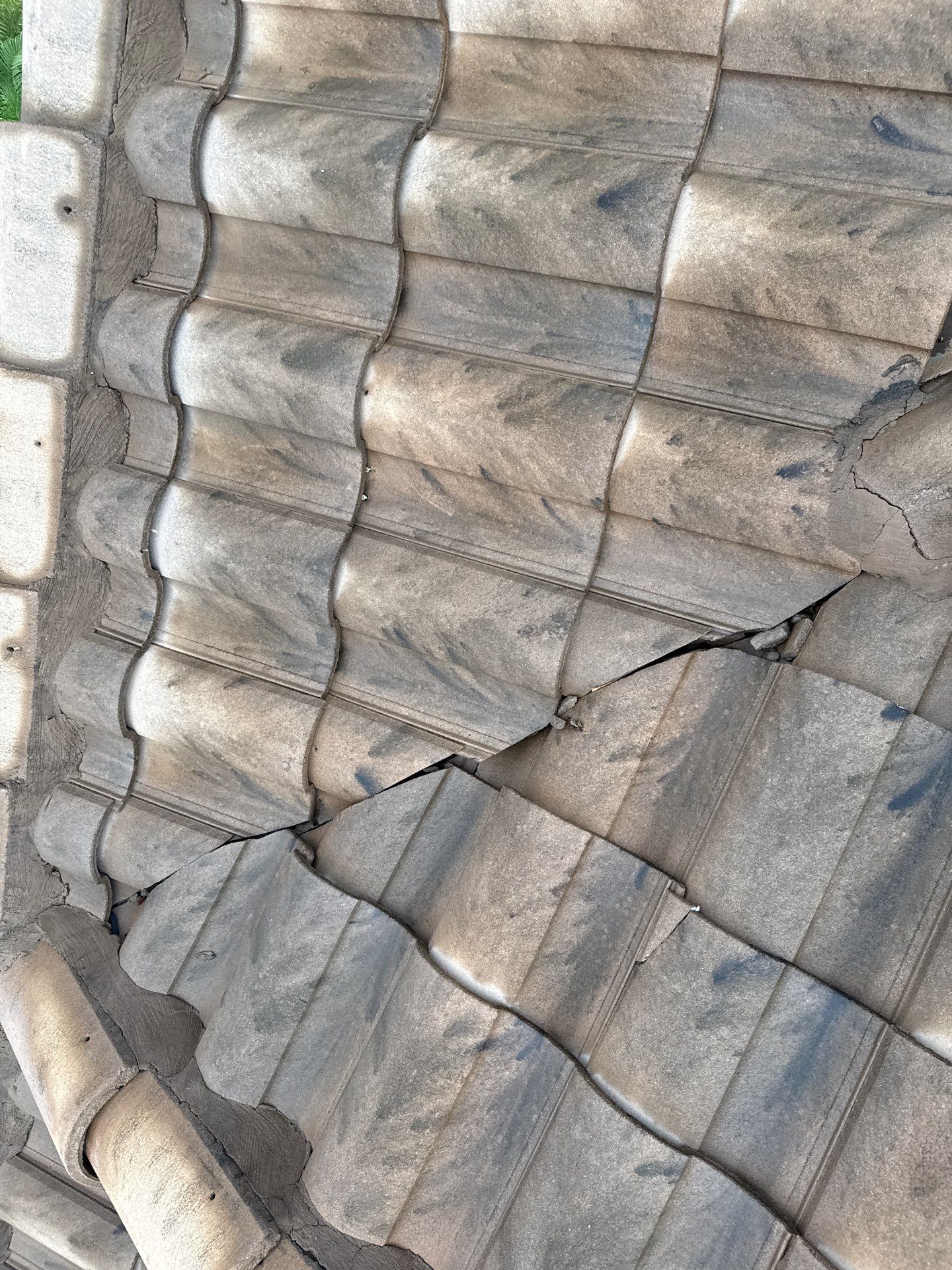 Concrete Tile Roof, Paver Driveway & Lanai Cleaning – Artisan Lakes Esplanade, Palmetto, FL by Sunshine AquaWash