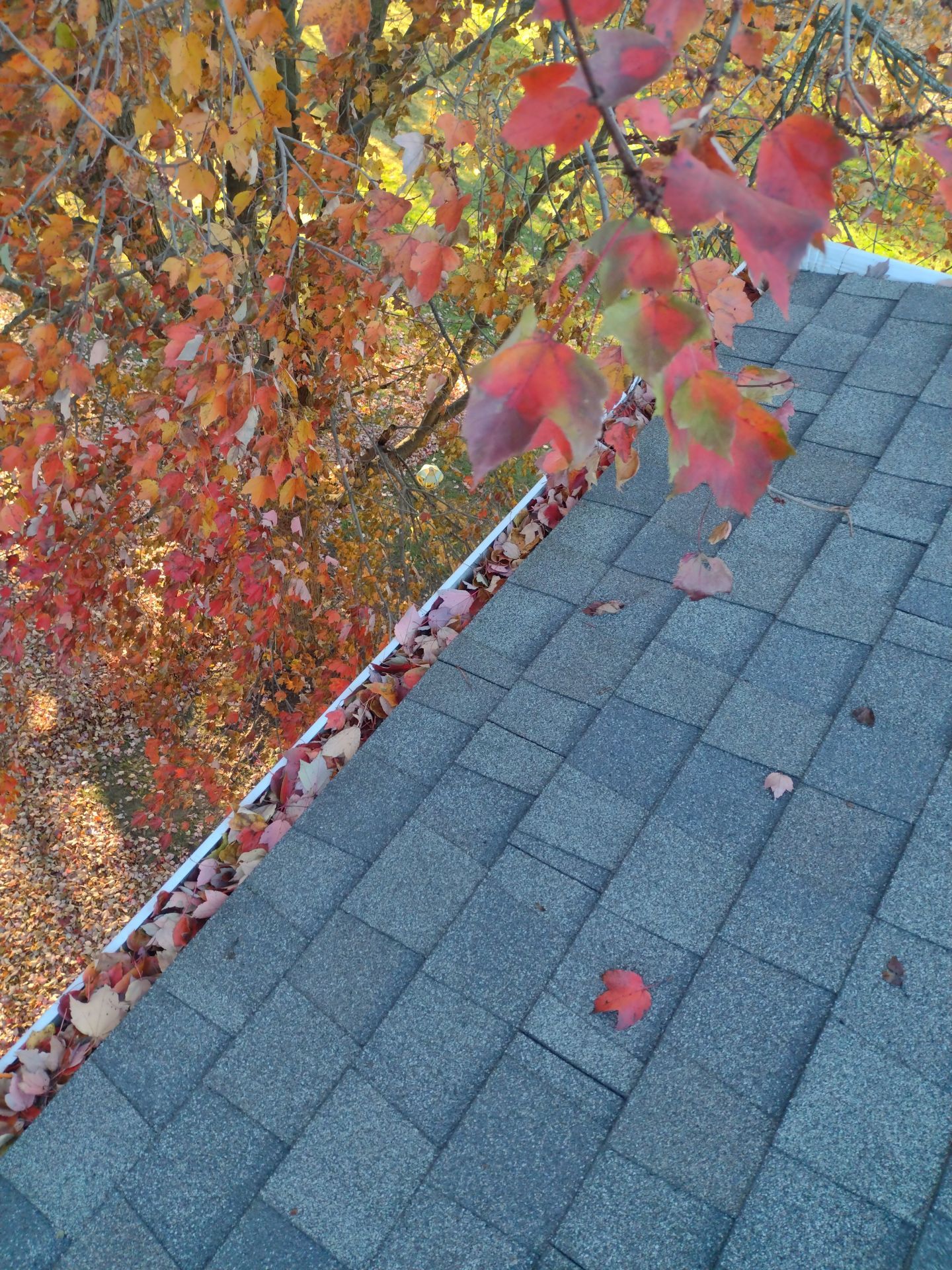 Commercial gutter cleaning Kalamazoo before photo with filled gutters