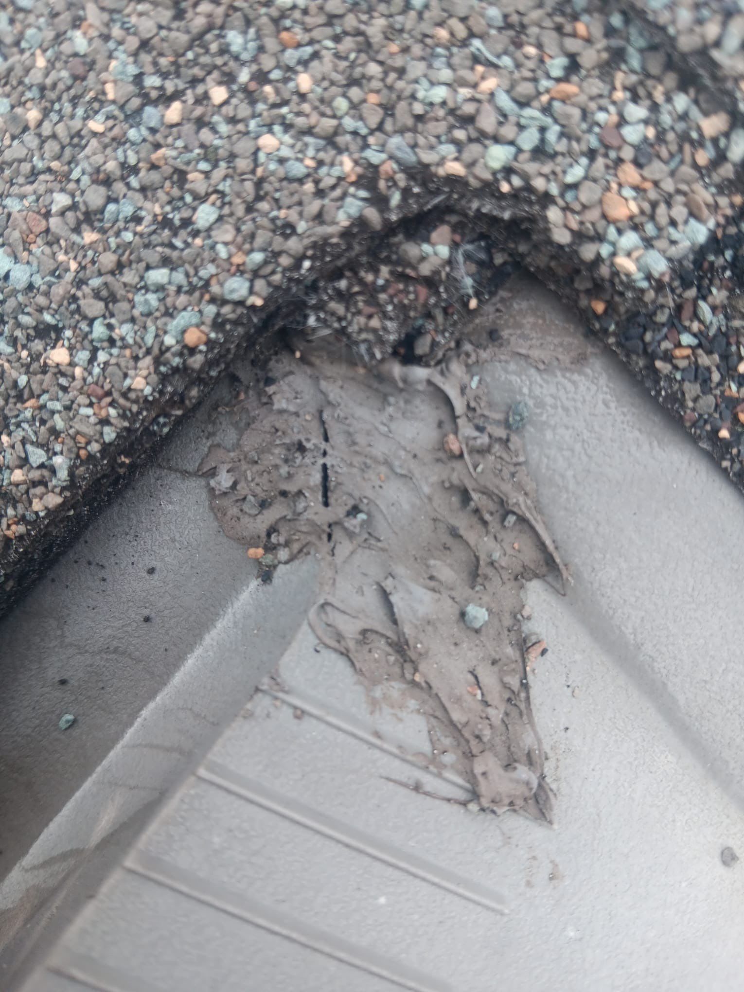 Roof Repair Spring by Roof Repair Company