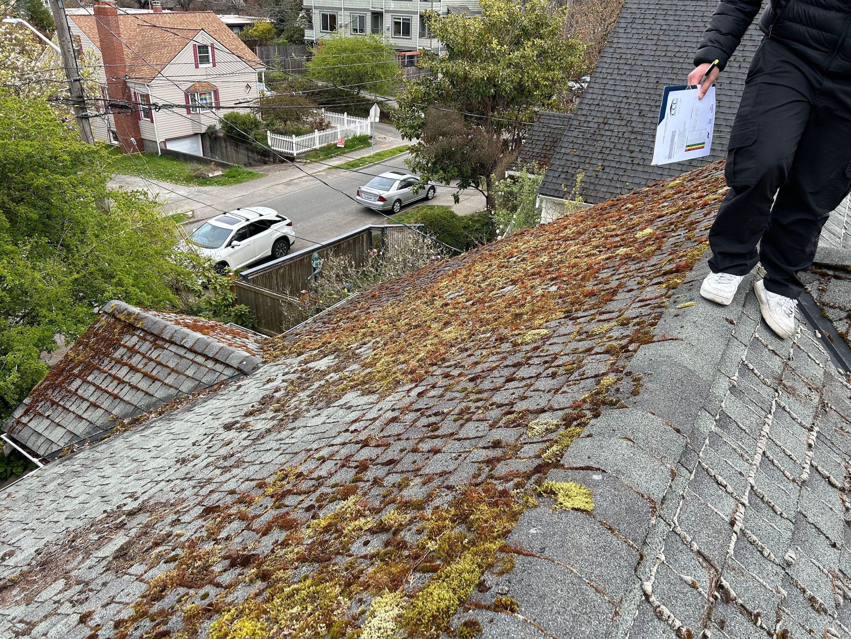 Project in Seattle  by Connolly Construction Company