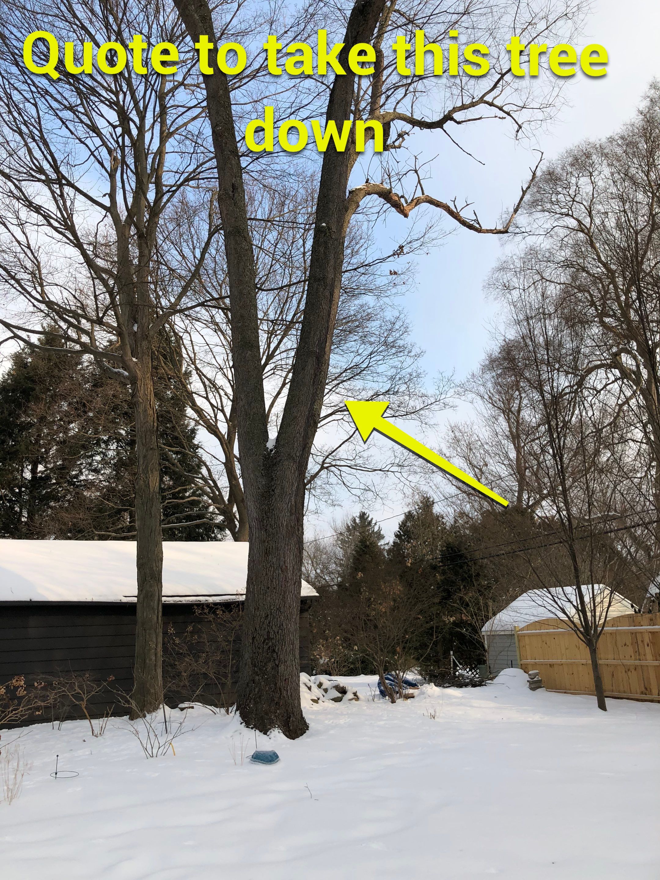 Firewood Delivery  using Seasoned Firewood by Mike Jones & Sons Tree Service LLC 