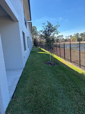 🌱 Magnolia Ridge Lawn Refresh