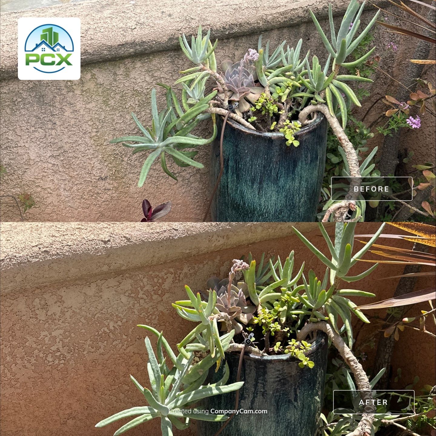 Huntington Beach House Wash by Property Cleaning Experts