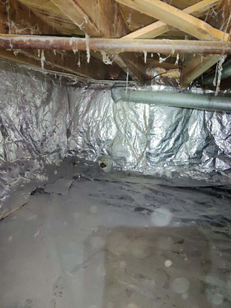 Crawl Space Cleanup  by Accountable Home Services