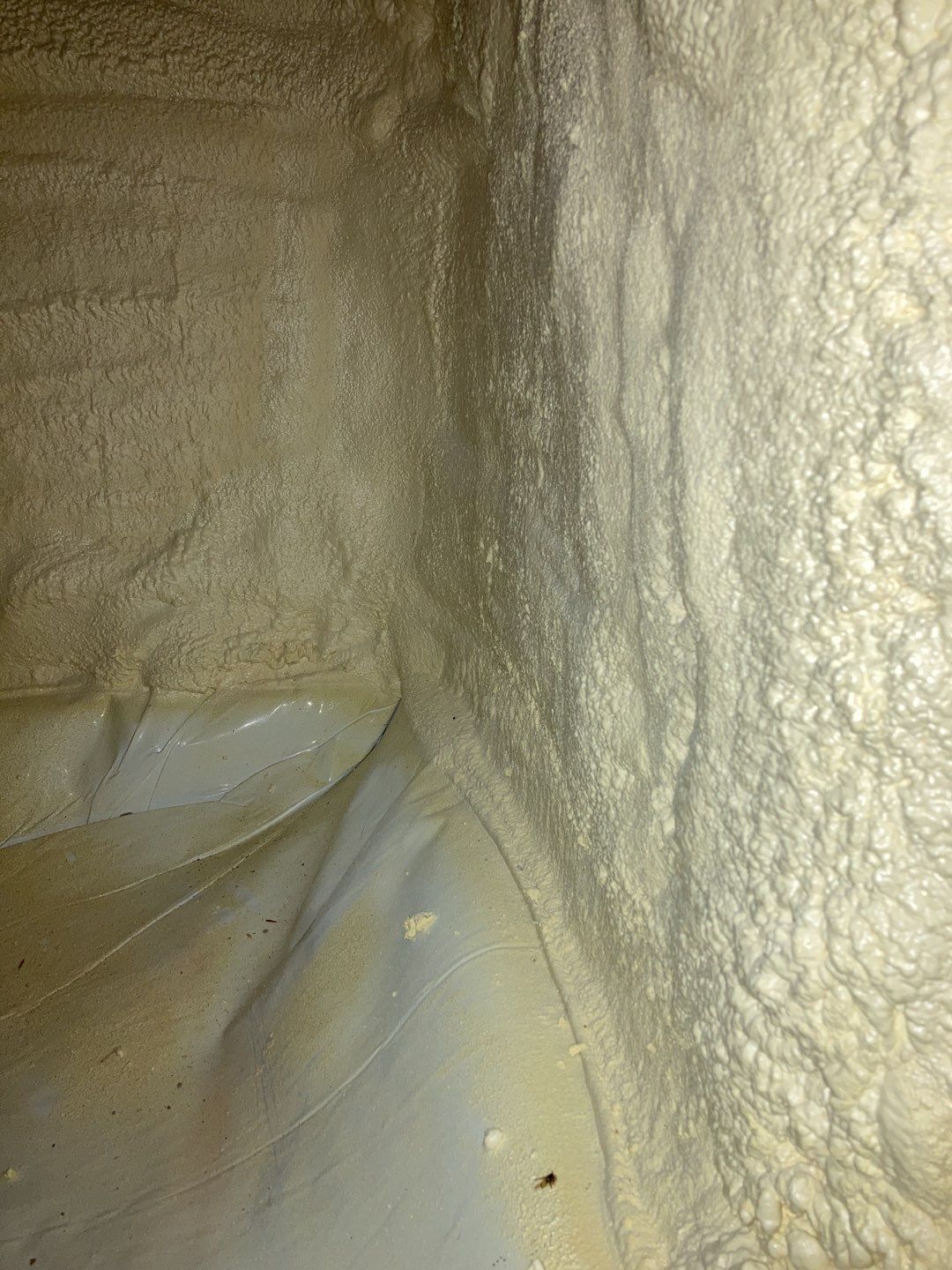 Crawl Space Cleanup using Encapsulate by Accountable Home Services