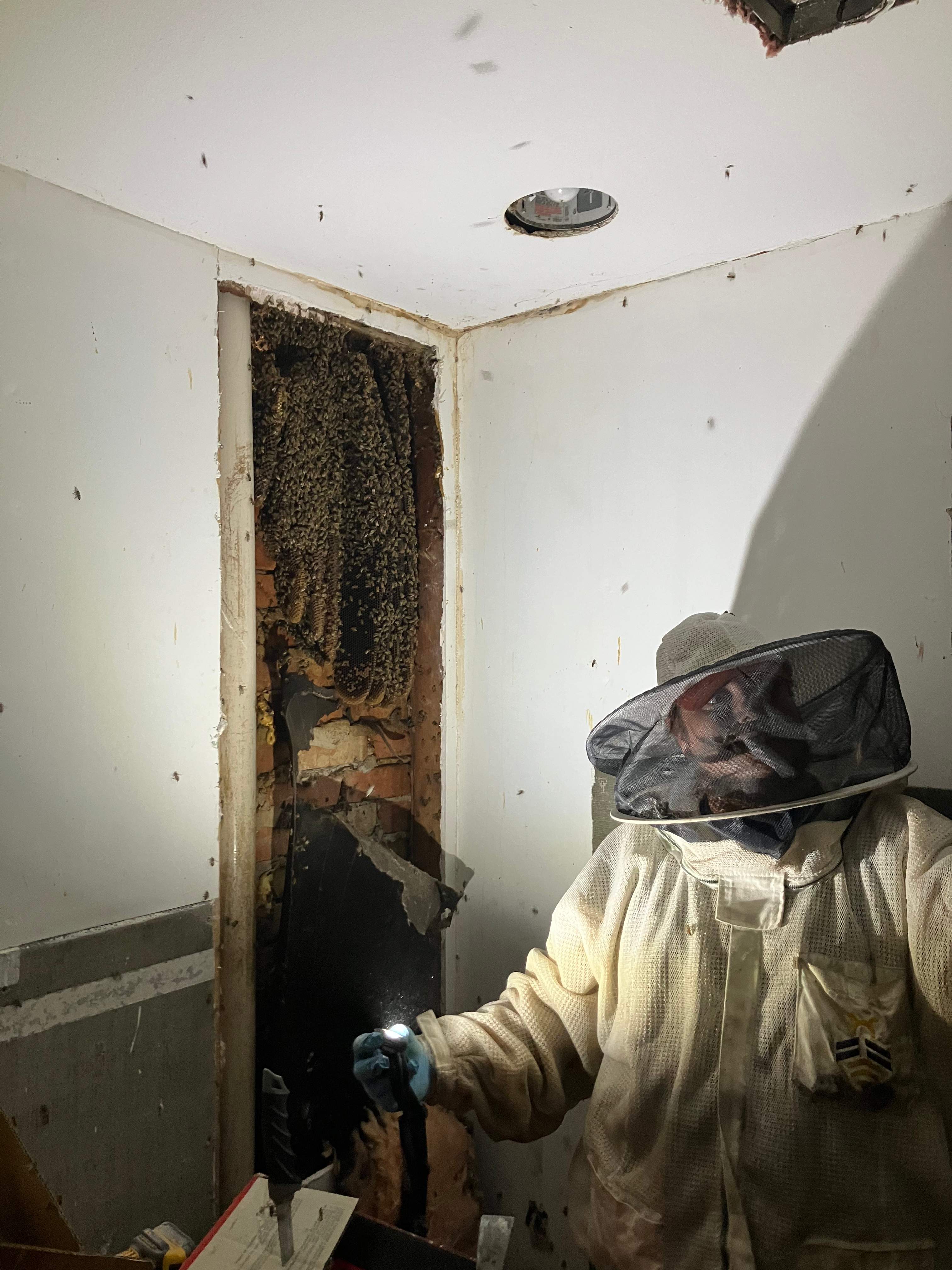 Improper Repair by Rockwall Honey Bee Company