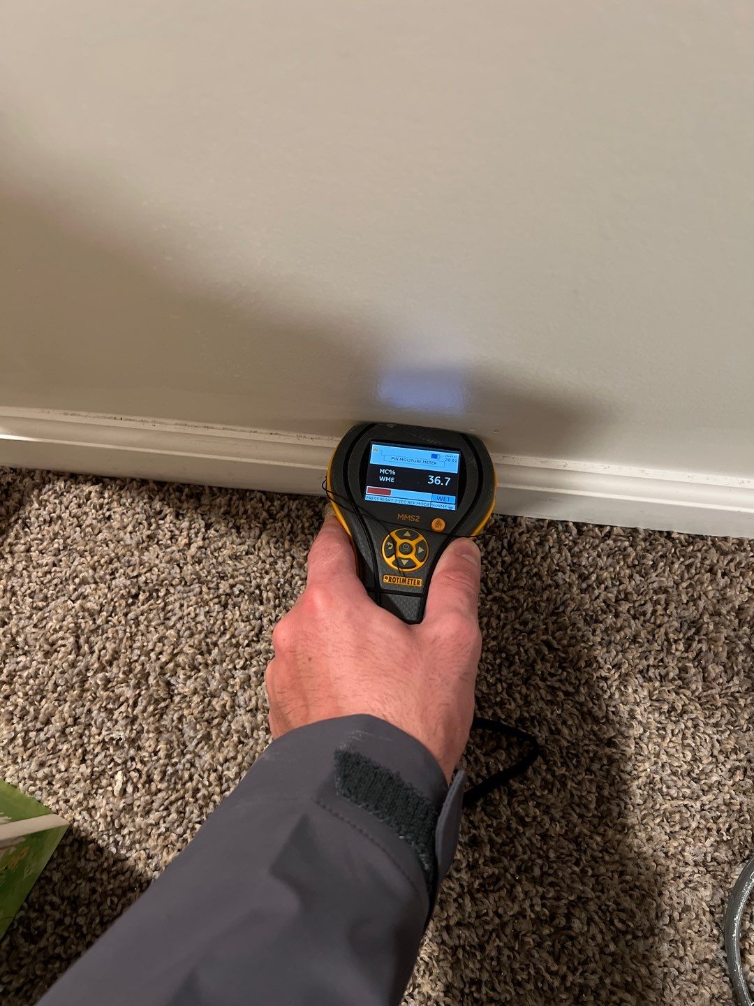 Project in Brighton by EzDry Water Mitigation & Property Restoration