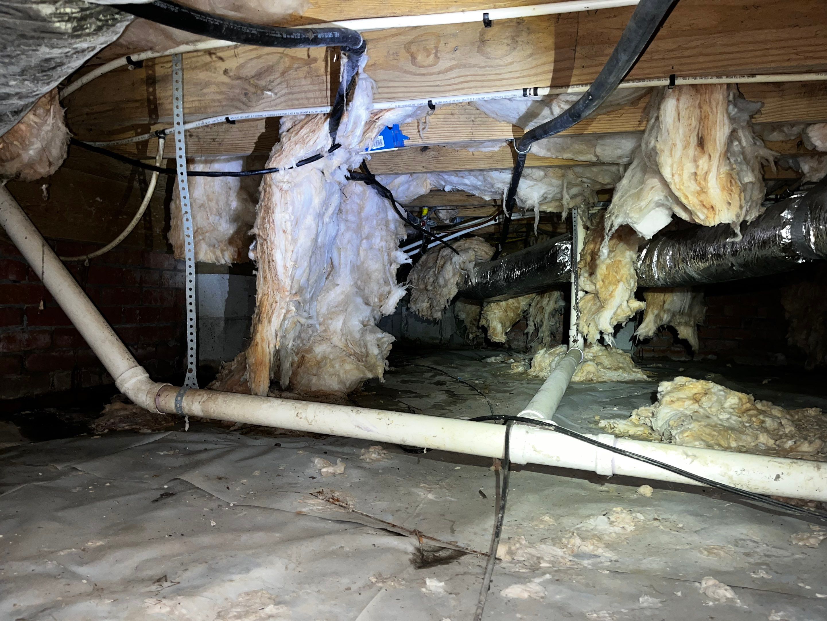 Impact Choice Encapsulation with French Drain and Crawlspace Doors by Impact Crawlspace
