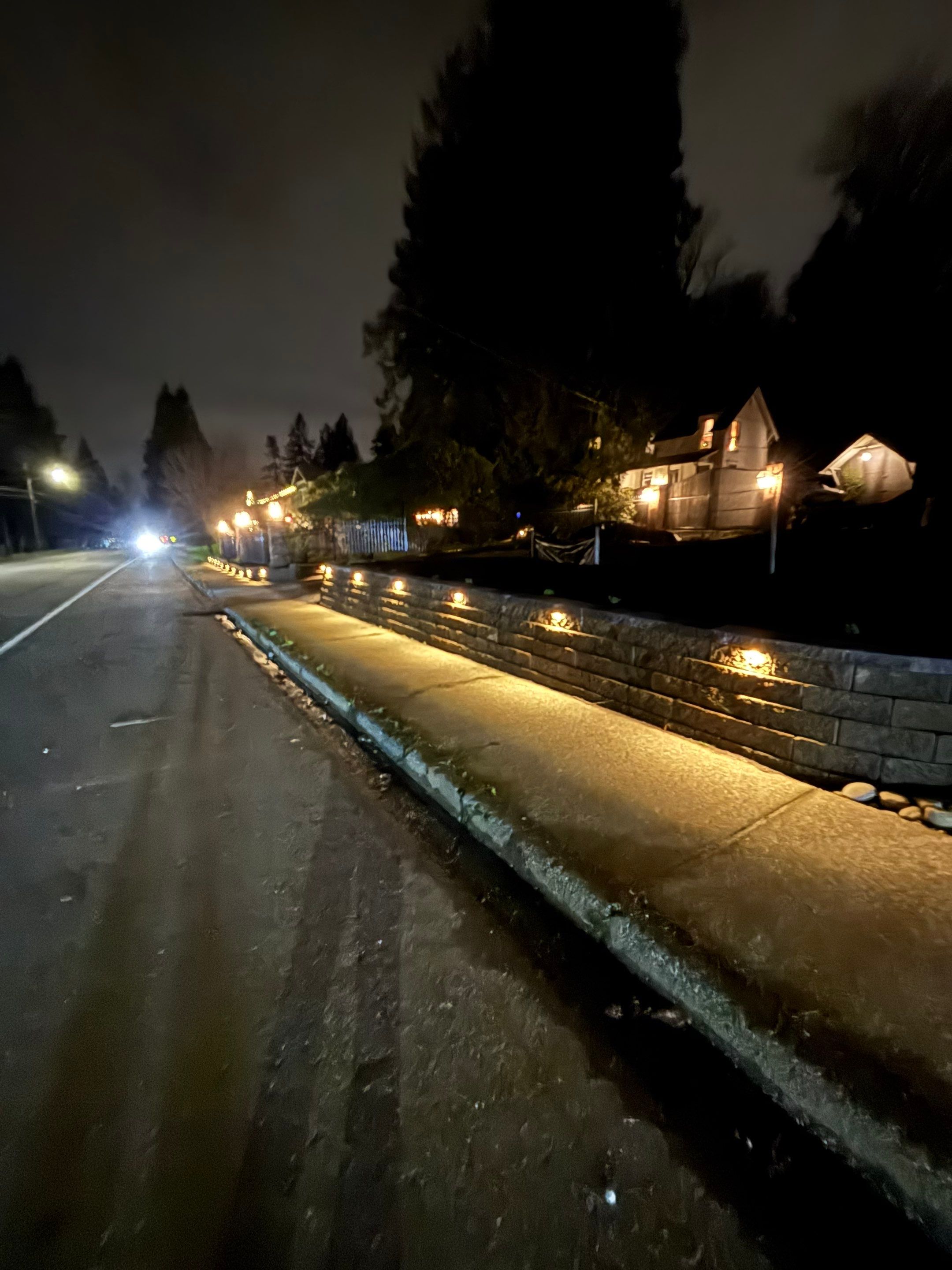 Maple Ave Renovation by Pacific Pine Landscape